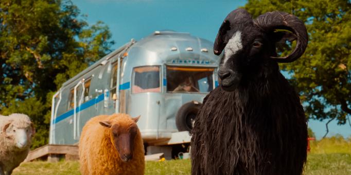 (de gauche à droite) Mopple, Lily et Sebastian dans « Bêêêêtective Privé » d'Amazon MGM Studios. Crédit photo : avec l'aimable autorisation d'Amazon MGM Studios   © Sony Pictures Releasing Switzerland GmbH